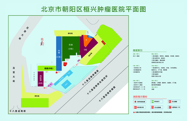 操大骚屄真人版北京市朝阳区桓兴肿瘤医院平面图